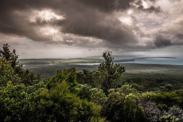 Rangitoto Island, New Zealand
